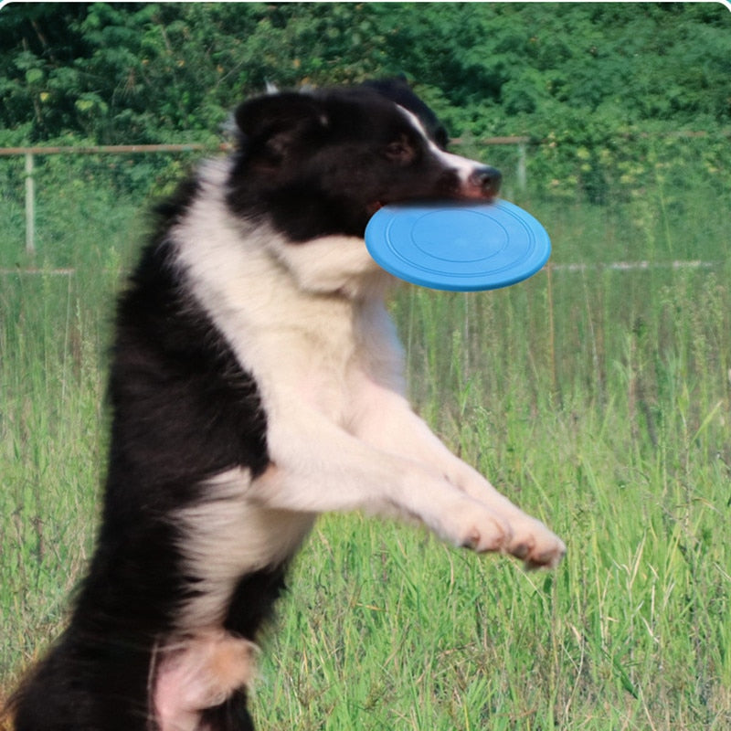 Bittålig frisbee