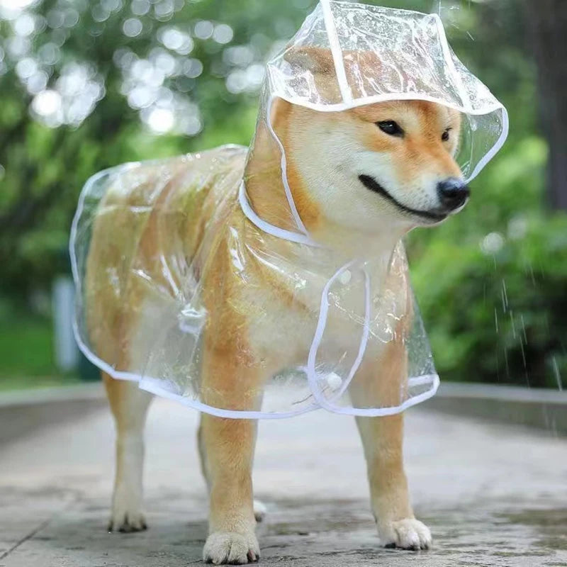 Hund transparent regnkläder, regnjacka, husdjur huva, vattentät jacka,  kläder mjuk PVC, regnjacka, regn Poncho