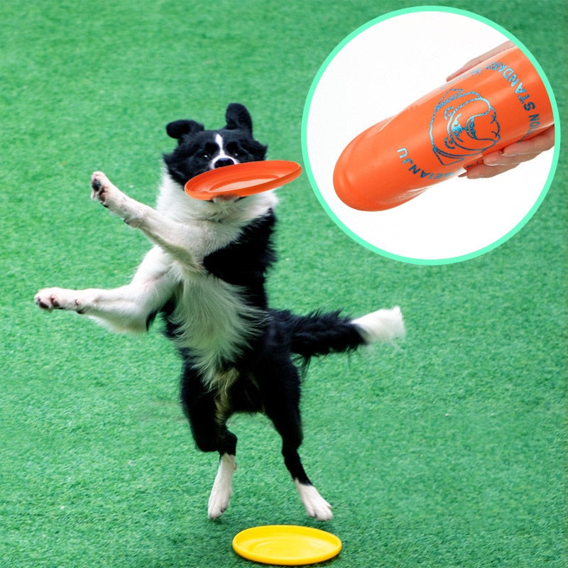 Bittålig frisbee