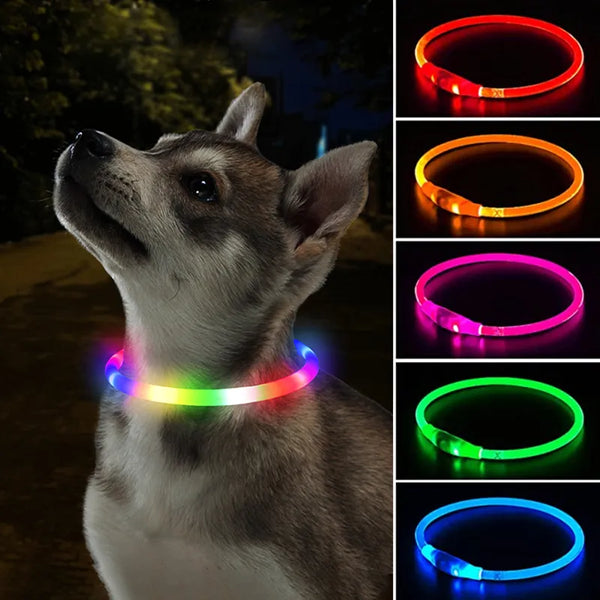 Led-hundhalsband, hundhalsband 3 lägen, LED-ljus, LED-halsband för hundar